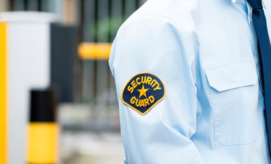 Event & Government Security